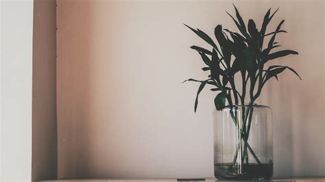 desktop wallpaper aesthetic minimalist.